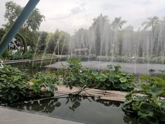-厦门园林博览苑