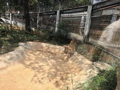 -昆明动物园