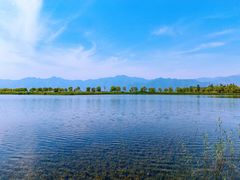 -野鸭湖国家湿地公园