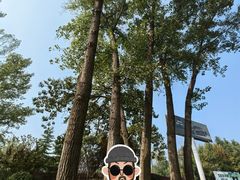 -思念果岭悦温泉