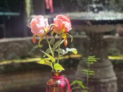 -Golden Lily河内巴黎法越料理餐厅(建国西路店)