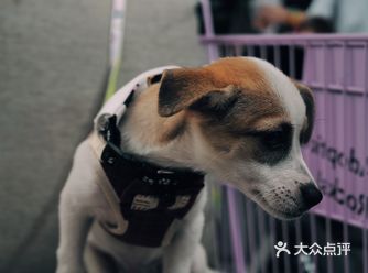 来安义QIE咖啡吖｜安义夜巷的第一次咖啡节来啦