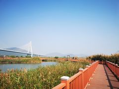 -芒洲湿地公园