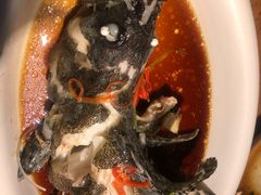 -必点海鲜·鲅鱼水饺(鞍山西道店)
