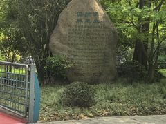 -吴淞炮台湾湿地森林公园烧烤区