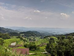-紫鹊界梯田景区