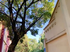 -T80科技文化国际社区-停车场