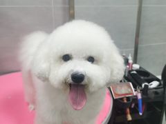 -宠福鑫康馨动物医院·骨科·眼科