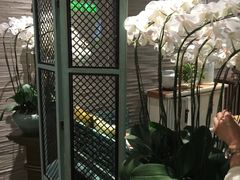 -若蘭慈·无国界素食料理(欢乐海岸店)