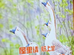 -锅老头海鲜铁锅炖