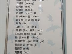 -烟台自然博物馆