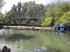 -森林公园(尖草坪区)