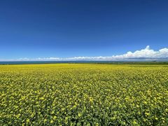 -青海湖国家重点风景名胜区