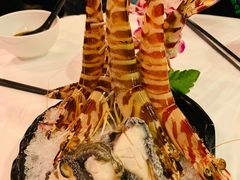 -鲜入围煮花胶鸡海鲜火锅