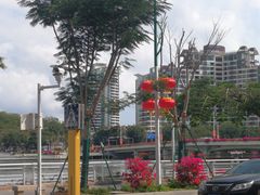 -金鸡岭桥头公园