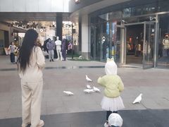 -中粮·祥云小镇