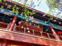 -大觉寺-停车场
