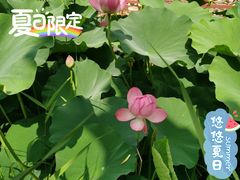 -保定市动物园