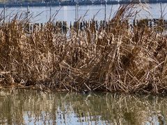 -祝甸砖窑文化馆