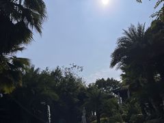 -重庆园博园