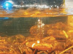 -龙宴海鲜城(经中路店)