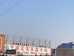 -中环花鸟鱼虫市场
