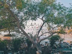 -宝安西湾红树林湿地公园