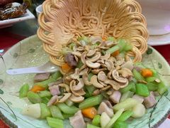 -姚林轩