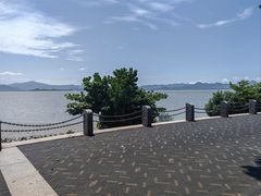 -深圳湾公园(南山区)