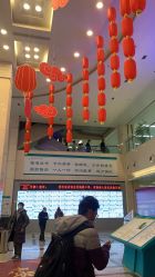 -河南中医药大学第一附属医院-医疗整形