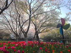 -白塘生态植物园