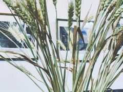 -三味书屋(复兴门内大街店)