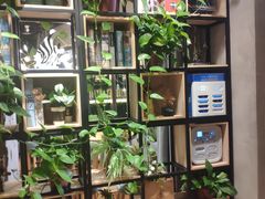 -ZING COFFEE 镜咖啡