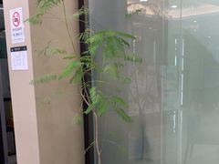 -牙博士口腔品牌连锁(昆山城区店)