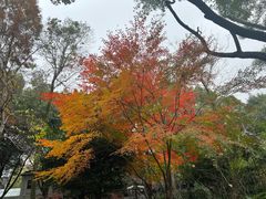 -汇龙潭