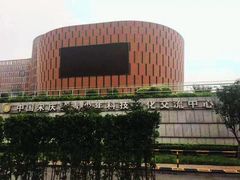 -中国宋庆龄青少年科技文化交流中心