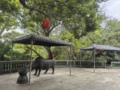 -罗浮山-南楼寺