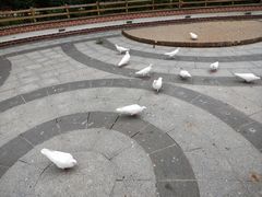 -南宫五洲植物乐园