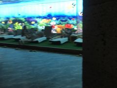 -海洋之星休闲汗蒸浴场