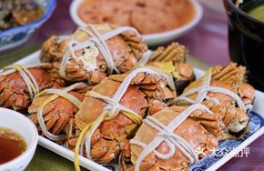 Freshwater Crab