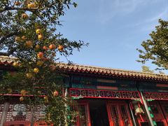 -保定直隶总督署博物馆