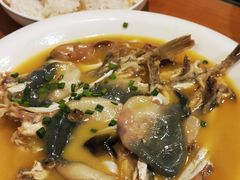 -9号小厨师(端平桥店)