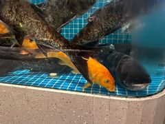 -春天里餐厅(西田城店)