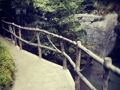 -石台牯牛降景区