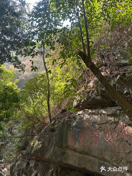 鼎湖山风景区图片
