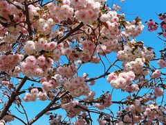 -利群胶州购物广场(澳门路店)