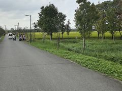 -嘉北郊野公园