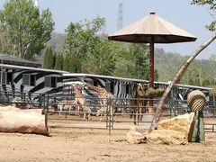 -大连森林动物园