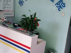 -乐宠动物医院