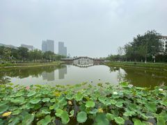 -西海子公园